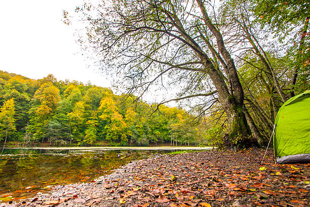 istock yedigoller Park, bolu 517571982