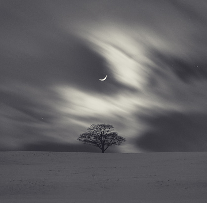 A solitary tree under a canopy of fast moving clouds lit by the Waxing Crescent Moon.  Long exposure, toned black and white.
