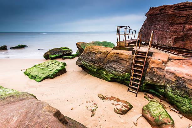 Wild beach and red rock cliffs in site Jurassic Coast Wild beach and red rock cliffs in famous heritage site Jurassic Coast in UK exmouth western australia stock pictures, royalty-free photos & images