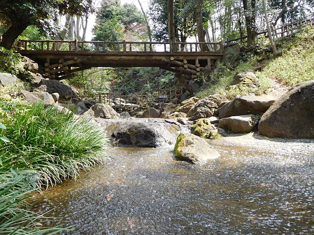 istock The shining stream in a Japanese garden 517573068