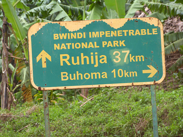 istock Entebbe (Uganda) to Kigali (Ruanda) per bike 517574662