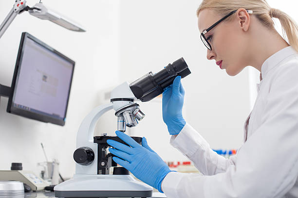 istock Cheerful young researcher is making the experiments 517574844