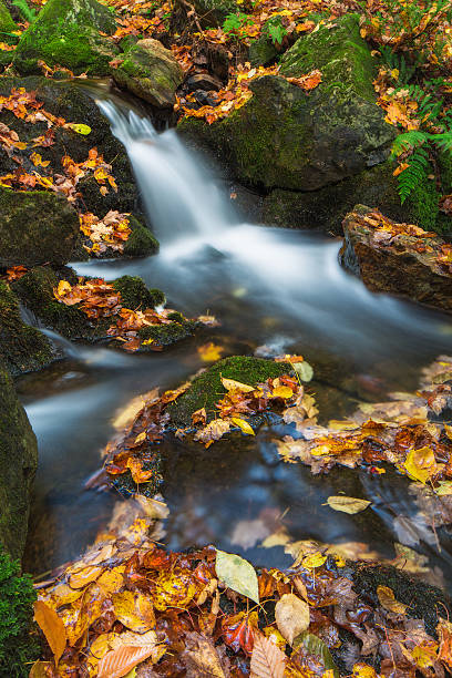 istock Autumn Canadian Landscape, Moving  small Waterfall 517575459