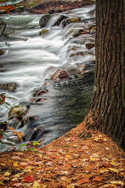 istock Autumn Canadian Landscape, Moving Water, and rocks 517575665