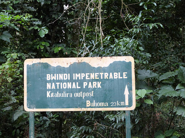 istock Entebbe (Uganda) to Kigali (Ruanda) per bike 517576024