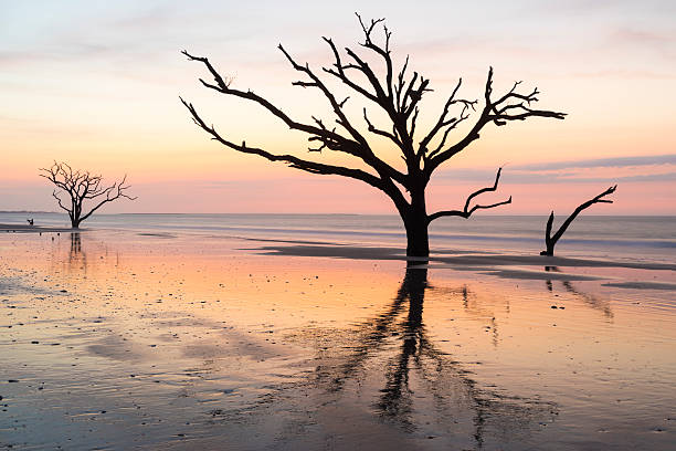 istock Early Morning at Edisto Island Beach 517576254