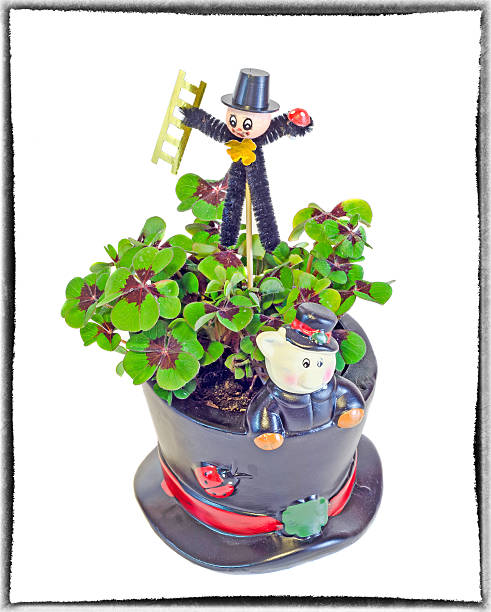 istock Chimney sweeper over green Oxalis, purple spots, luck 517576398