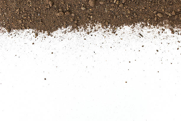 istock Dirty earth on white background. Natural soil texture 517576606