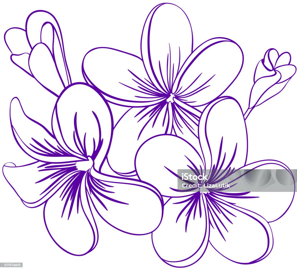 Beautiful Hand Drawn Plumeria Flowers Beautiful Hand Drawn Plumeria Flowers. Pretty Cute Sketch. Abstract stock vector