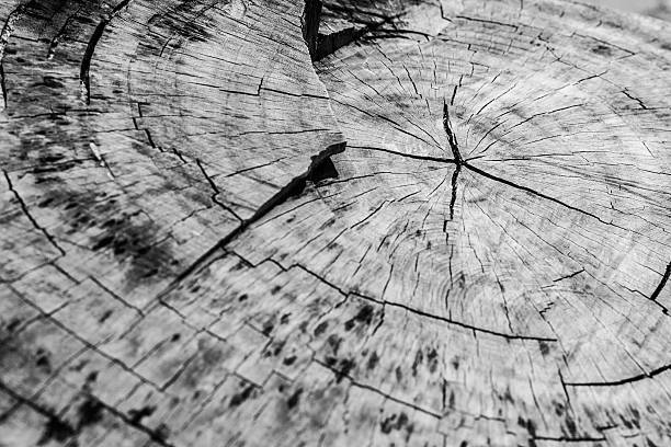istock Close up of wooden texture 517578423