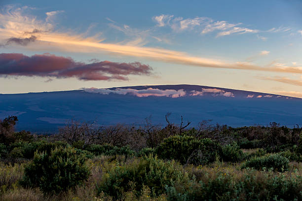 A sunset view of Hawaii's massive Mauna Loa volcano. Bands of colorful clouds are passing in front of the mountain as the sun sets. The focus is on the mountain and cloud formations and the foreground has a shallow depth of field (stock image).