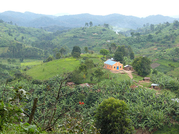 istock Entebbe (Uganda) to Kigali (Ruanda) per bike 517579588