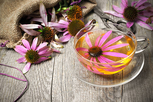 istock Cup of echinacea  tea on wooden table 517581123