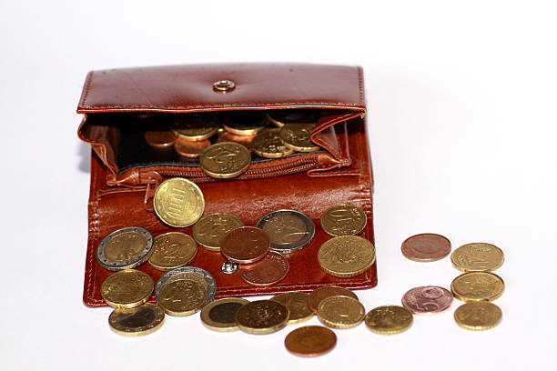istock Wallet with euro currency 517582082
