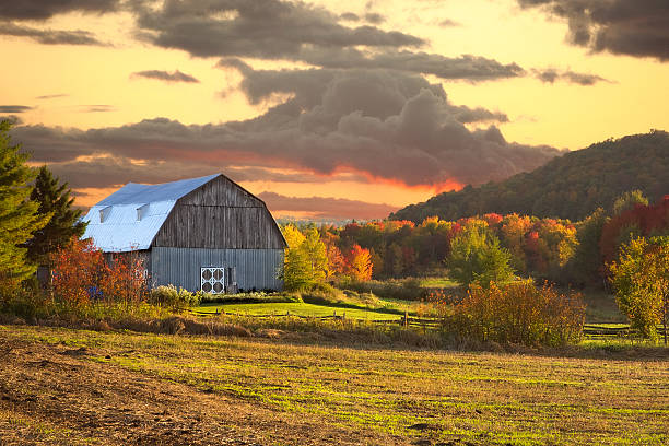 istock Autumn Canadian Landscape,  lovely evening sunset barn 517593307