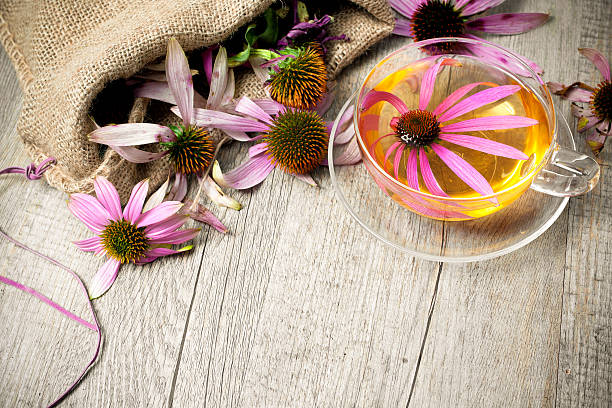 Cup of echinacea  tea on wooden table stock photo