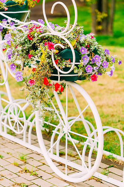 istock White Decorative Bicycle Parking In Garden 517593859