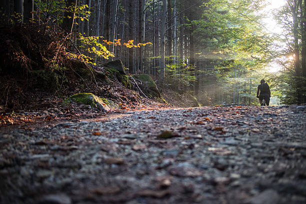 istock Mountain bike rider 517596679