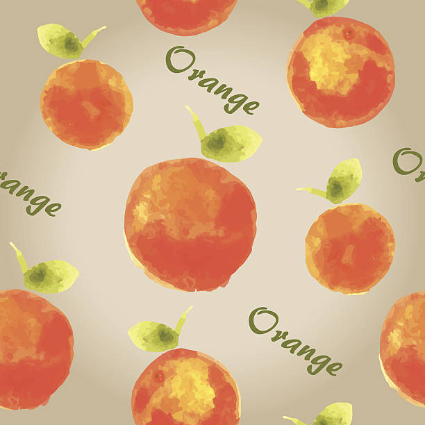 오랑주 2 - orange portion vector textured stock illustrations