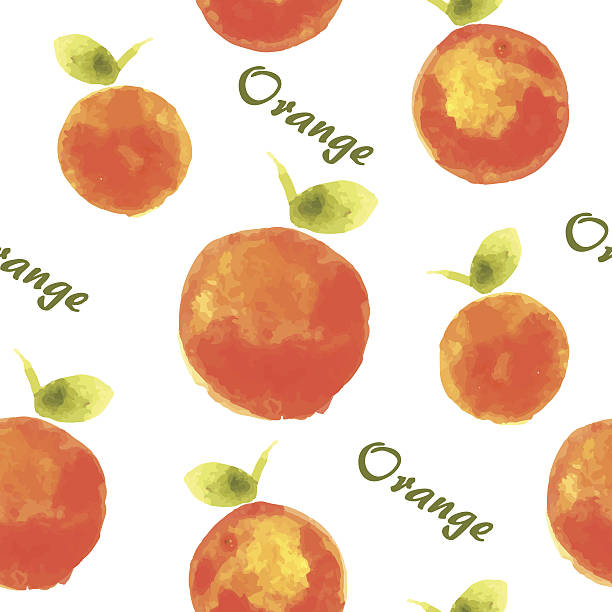 오랑주 3 - orange portion vector textured stock illustrations