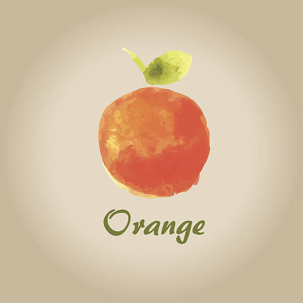 오랑주 6 - orange portion vector textured stock illustrations