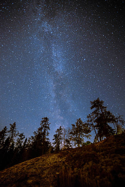 istock Canadian Milky Way in the Sky 517597205