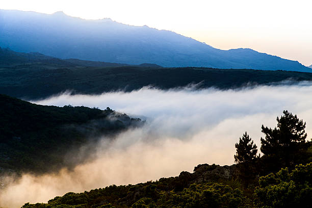 istock Corsica, United Kingdom 517599823