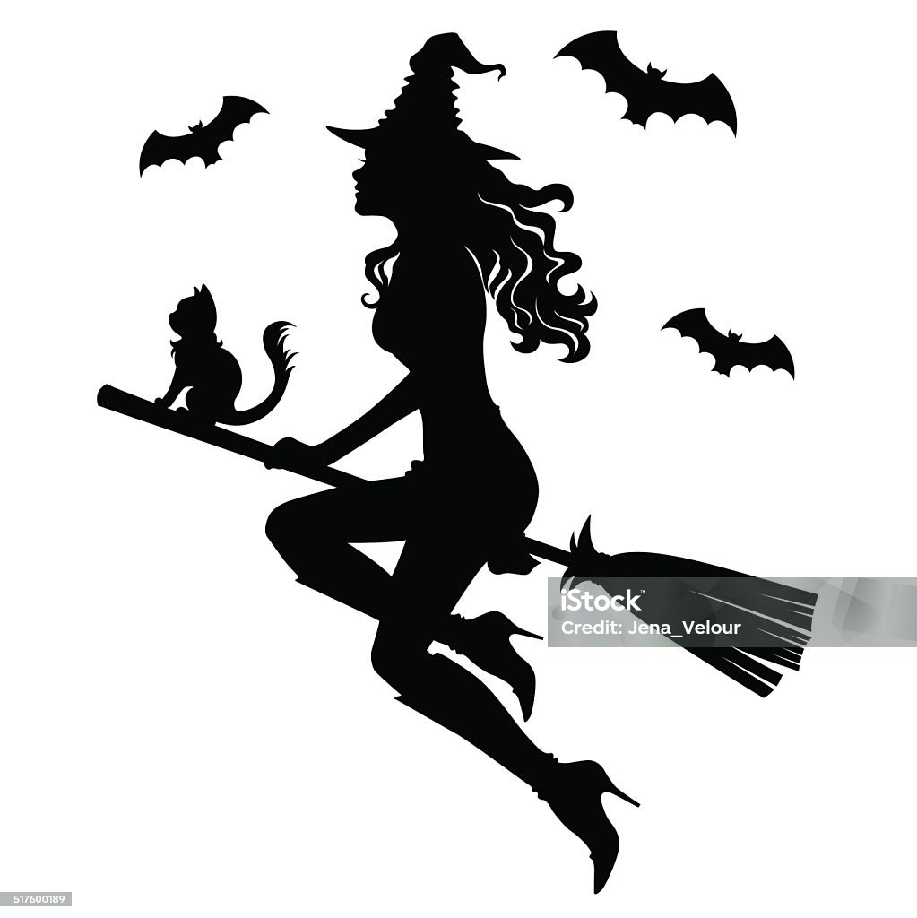 The beautiful silhouette of a witch on a broom Witch stock vector