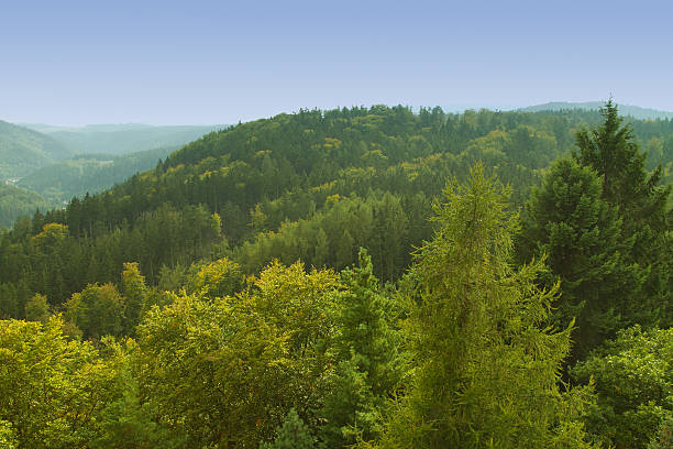 istock autumn in the park. 517600517