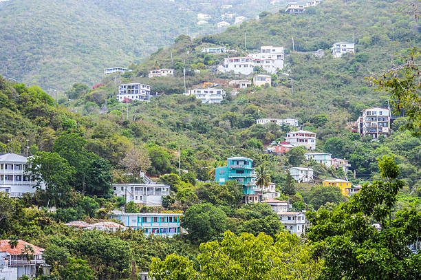 Tropical jungles in the Caribbean