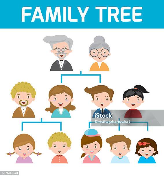 Family Tree Diagram Of Members On A Genealogical Tree Stock Illustration - Download Image Now