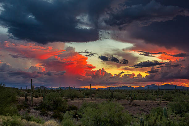 istock Stormy sunset in the desert 517611648