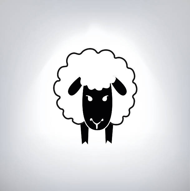 블랙 실루엣 시프 - sheep lamb agriculture knitting stock illustrations