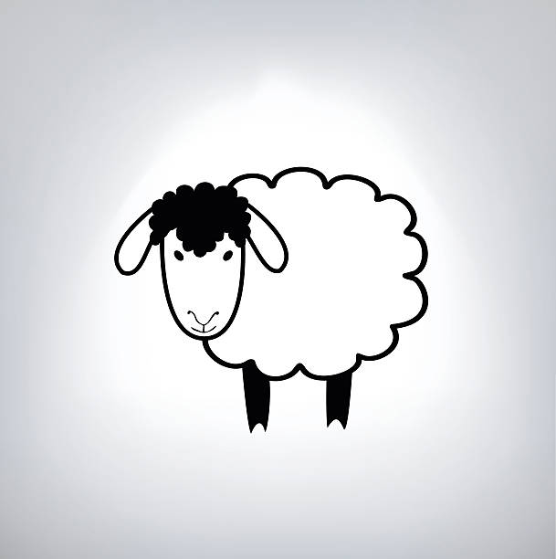 블랙 실루엣 시프 - sheep lamb agriculture knitting stock illustrations