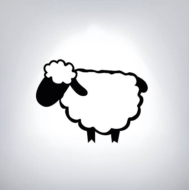 블랙 실루엣 시프 - sheep lamb agriculture knitting stock illustrations