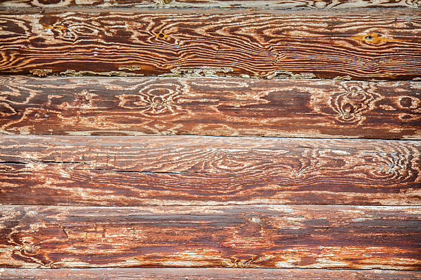 textura de madeira - wood cracked single line striped - fotografias e filmes do acervo