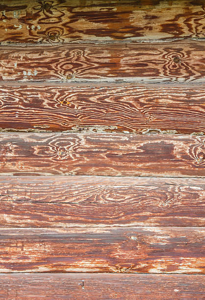 textura de madeira - wood cracked single line striped - fotografias e filmes do acervo