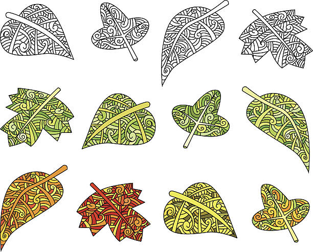 Ręcznie rysowane Leaf Ilustracje – artystyczna grafika wektorowa