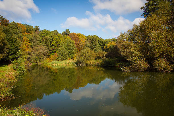 istock golden autumn on the lake. 517618457