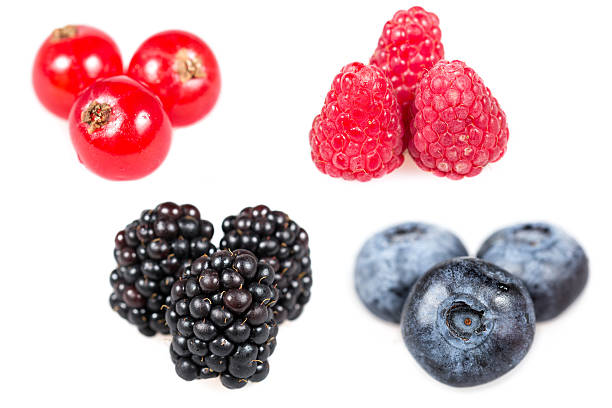 istock Compositions of berries isolated with white background 517621359