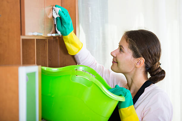 istock maid in apron dusting and wiping 517625226