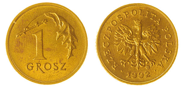 grosz 1992 coin isolated on white background, Poland