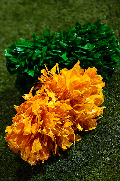 istock Green and gold pom poms 517626344