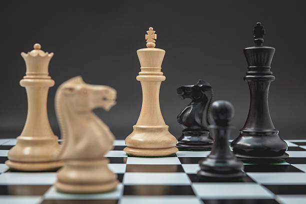 istock Black and White King and Knight of chess . 517631810