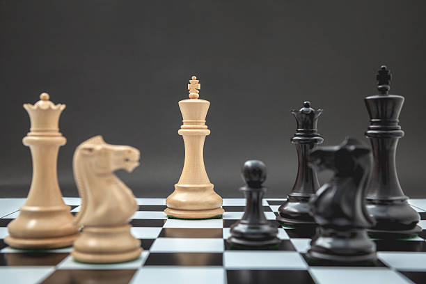 istock Black and White King and Knight of chess . 517631864