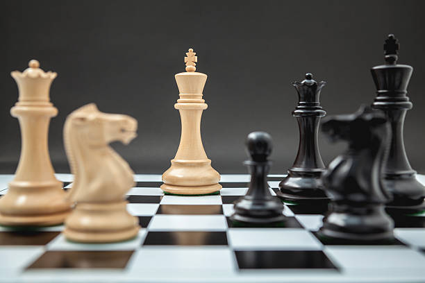 istock Black and White King and Knight of chess . 517631916