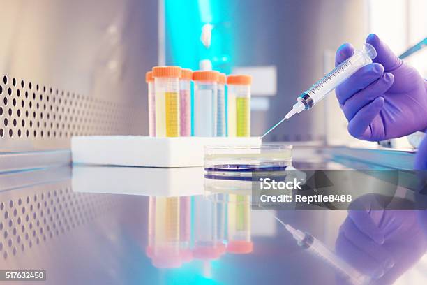 Microbiologist Stock Photo - Download Image Now - Drug Test, Laboratory, Organization