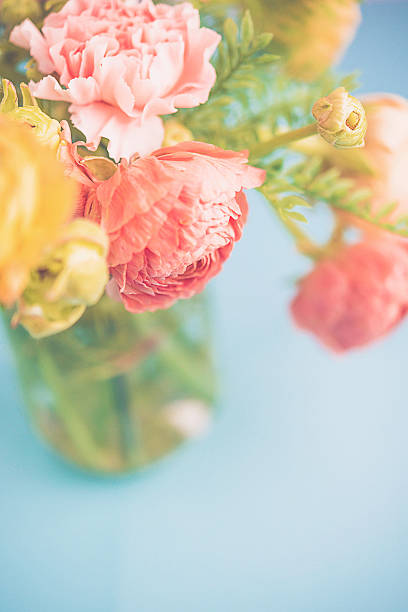 delicati e splendidi ranuncolo e garofano bouquet per la festa della mamma - mothers day frame flower single flower foto e immagini stock
