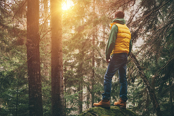 istock Traveler stands on a huge stone and looking ahead 517634442