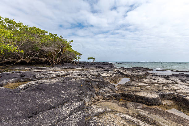 istock Puerto Villamil, Isabela ,Galapagos 517636662